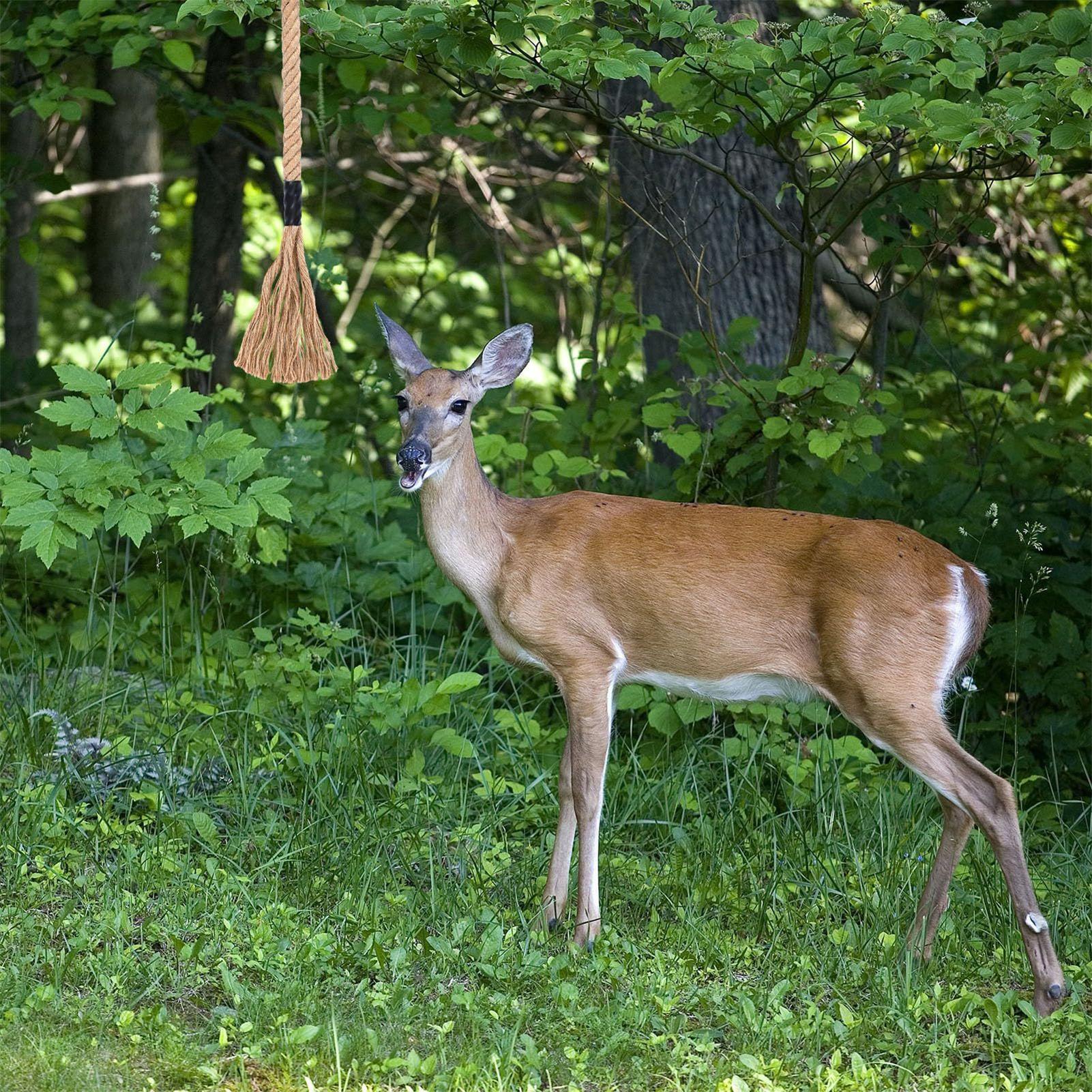 Deer Scent Rope Effective Long - Deer Attractant Scent ulasan dan harga