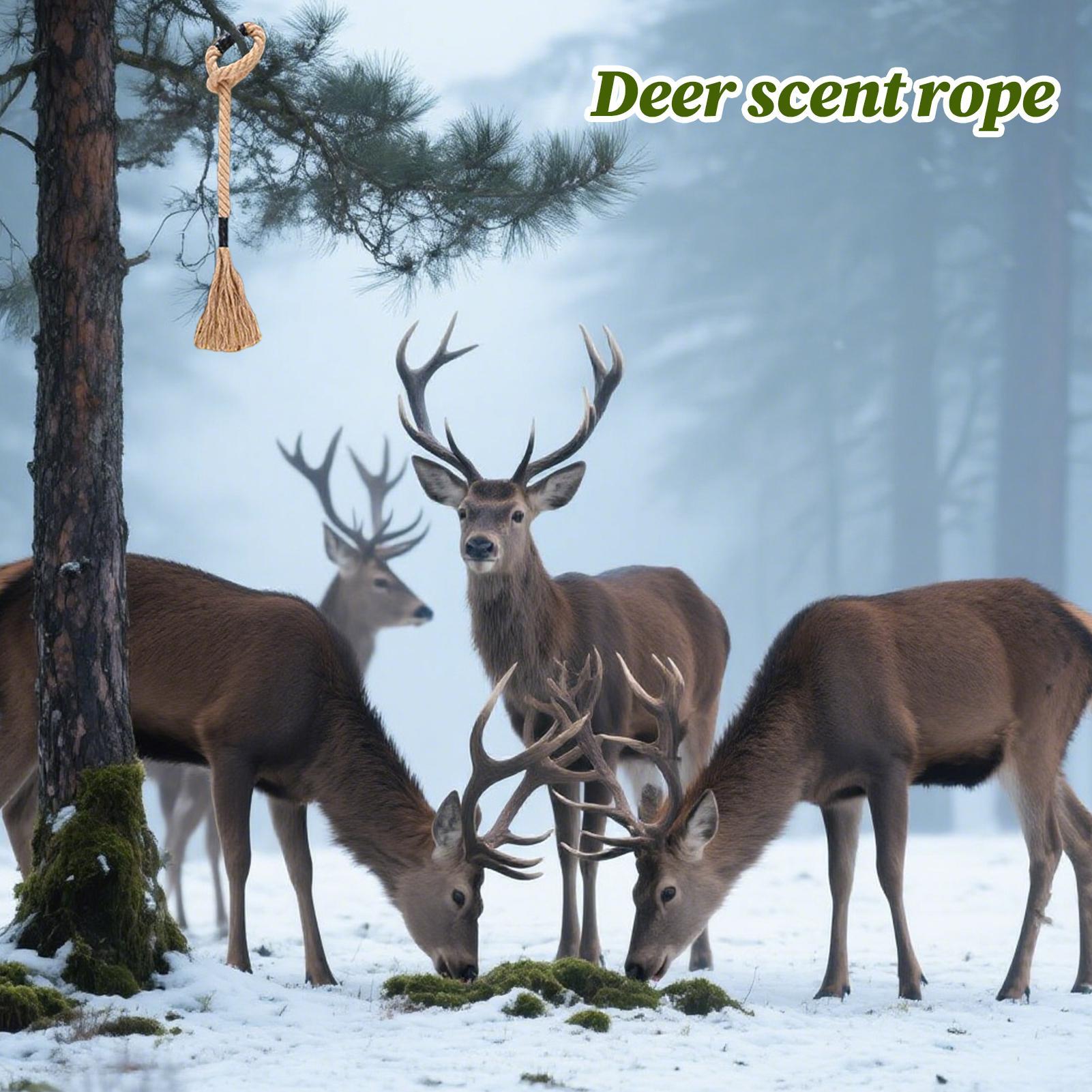 Deer Scent Rope Long-Lasting E - Deer Attractant Scent ulasan dan harga