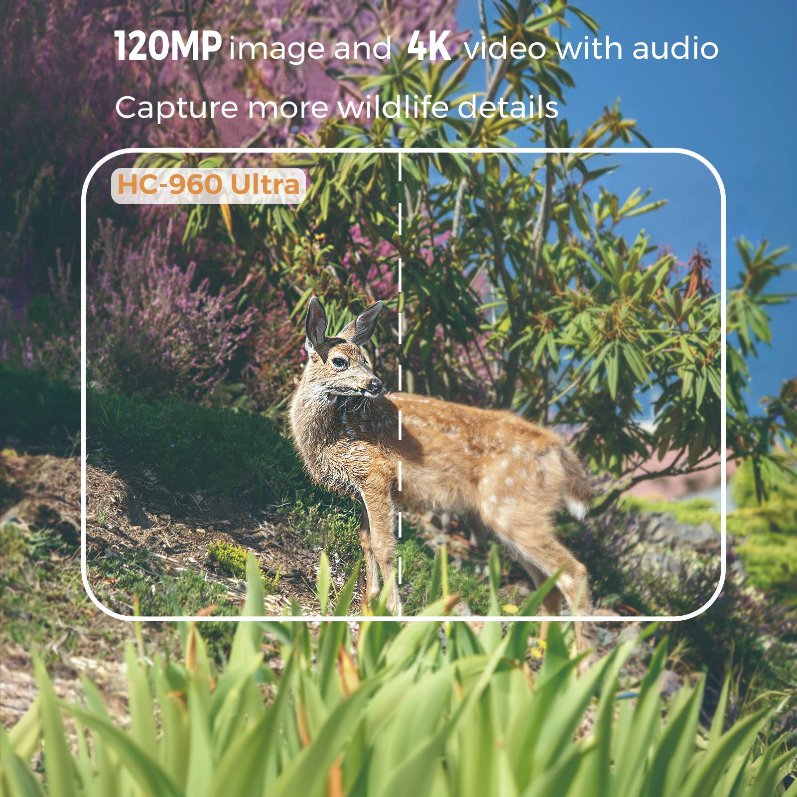 Outdoor 4K Video 120MP Photo 4 - Hunting Outdoor Camera ulasan dan harga