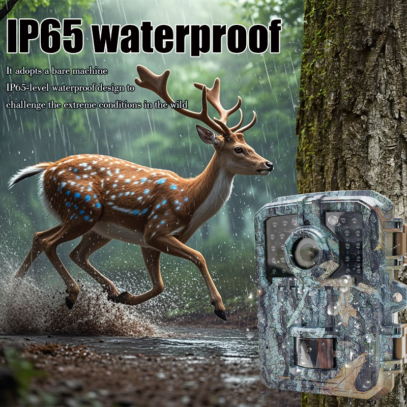 Trail Camera 16MP 1080P Waterp - Trail Camera Infrared ulasan dan harga