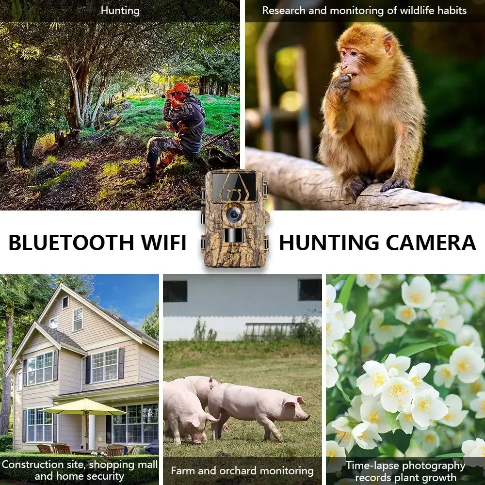 PR801W WIFI 8K 60MP Digital Tr - Hunting Outdoor Camera ulasan dan harga
