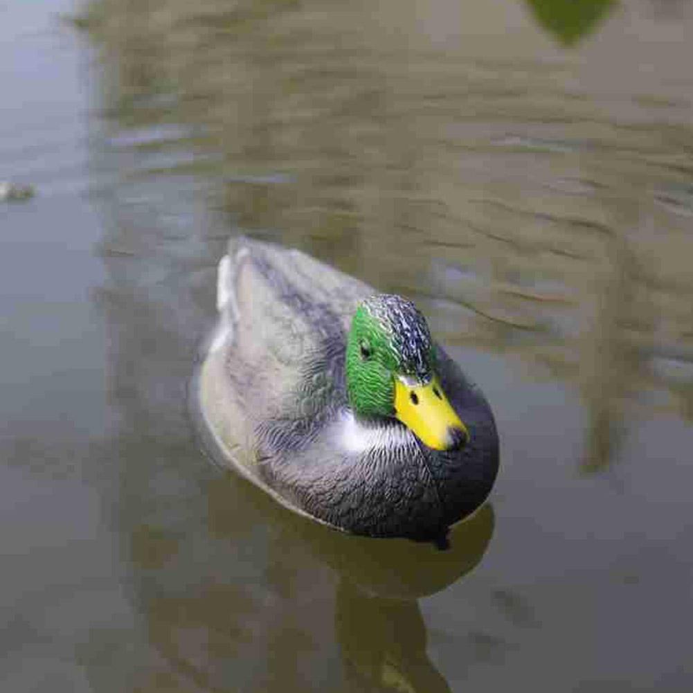 Outdoor Realistic Plastic Duck - Hunting Outdoor Decor ulasan dan harga